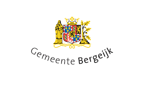 gemeente bergeijk Flag